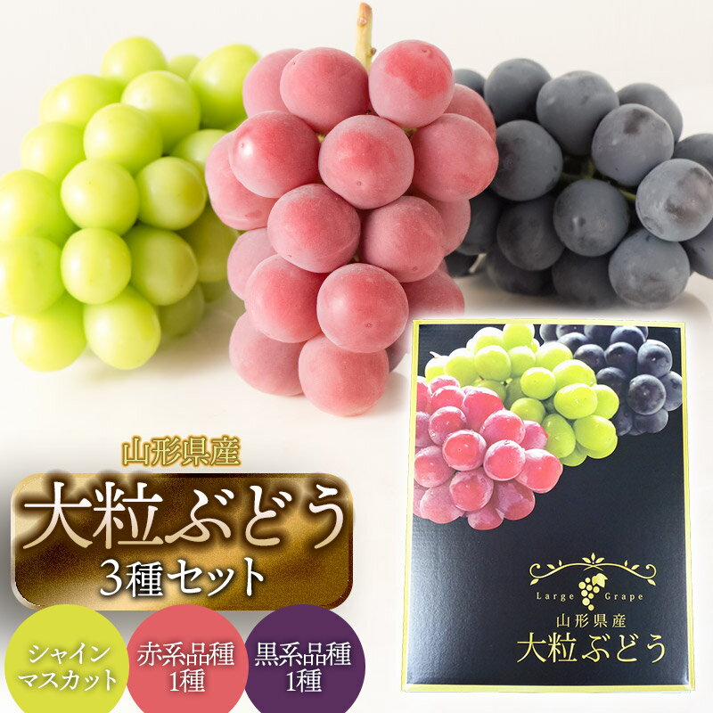 【ふるさと納税】【令和8年産先行予約】大粒ぶどう3種セット 約2kg　シャインマスカット＋赤系1種＋黒系1種 | 大玉　葡萄
