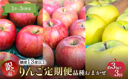 りんご定期便家庭用訳あり 青森県産 りんご【約3kg×3回】【定期便】