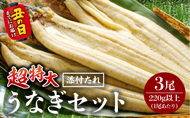 
            【選べる発送月】うなぎ白焼(超特大サイズ) 3尾_M069-024-SKU
          
