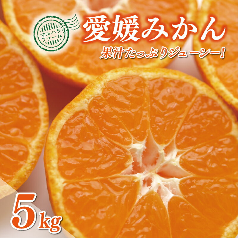 【ふるさと納税】 愛媛みかん 5kg 7000円 愛媛 みかん 温州みかん こたつ みかん mikan 蜜柑 ミカン 産地直送 国産 農家直送 期間限定 数量限定 特産品 アイス 等に 人気 限定 甘い フルーツ 果物 柑橘 ビタミン おいしい サイズ ミックス マルハラファーム 愛南町 愛媛県