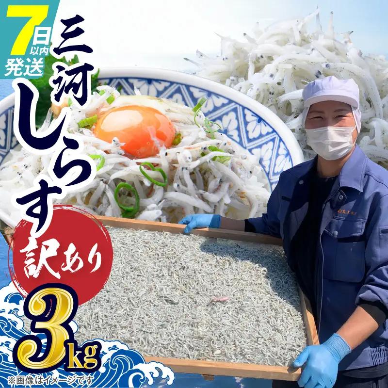 訳あり 3kg！バラエティ豊富な三河しらす H018-069