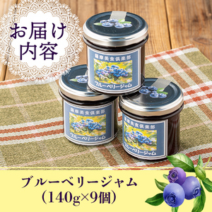 isa544 《毎月数量限定》手作りブルーベリージャム(計9個・各140g)加工食品 果物 フルーツ 詰め合わせ 果肉 ブルーベリー 低糖 ハンドメイド ジャム ギフト【薩摩美食倶楽部】