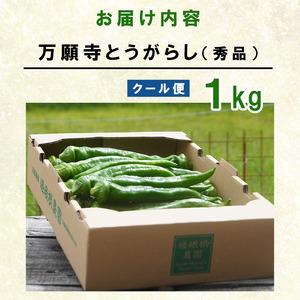 【5月中旬～11月下旬発送】 万願寺とうがらし 秀品 1kg 辛くない万願寺とうがらし 万願寺 とうがらし