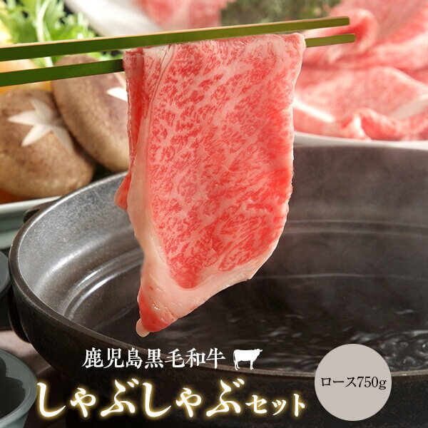 【ふるさと納税】鹿児島県産黒毛和牛しゃぶしゃぶ 750g Aセット ロース A5 和牛 手作り 名産鹿児島和牛かんだ本店 神田畜産 しゃぶ 牛 牛肉 鹿児島 ギフト プレゼント お中元 お歳暮 薩摩川内市 川内市 川内 ふるさと 納税