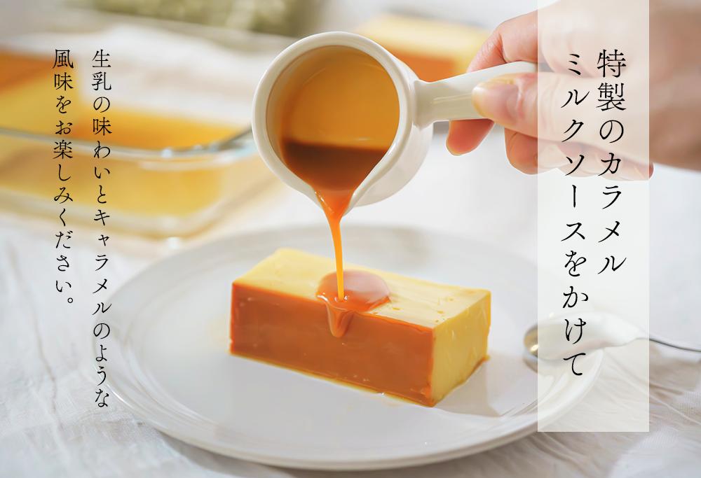 【隔月定期便】濃厚プリン New Pudding（ニュープディング）（500g×1本）×3回【be152-0931-200-3】(プリン 乳製品 スイーツ 北海道 別海町 定期便 3ヶ月 3回)