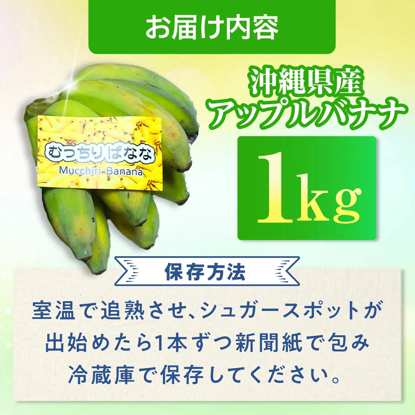 【2026年発送】沖縄県産アップルバナナ 1kg BCBH003