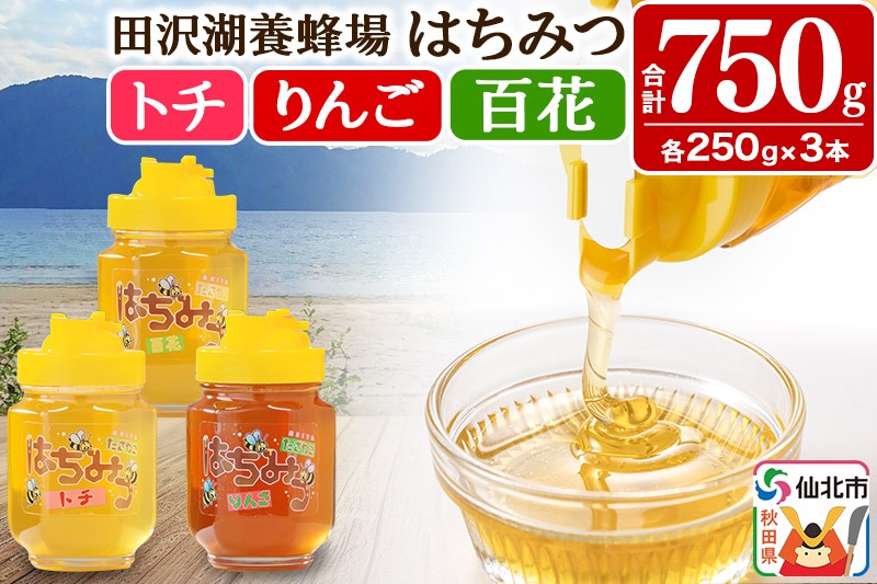 秋田県産はちみつ（トチ・リンゴ・百花）250g×各1本 合計750g 化粧箱入り 詰め合わせセット 田沢湖養蜂場 [蜂蜜 はちみつ ハチミツ 国産 とち 林檎 りんご]|02_tyj-201101