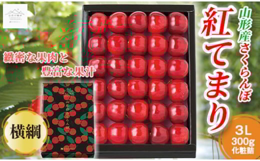 【山形の極み】贈答用 山形県産 さくらんぼ 紅てまり 300g 横綱 3L 化粧箱詰め 2025年6月下旬から順次発送 F2Y-5187
