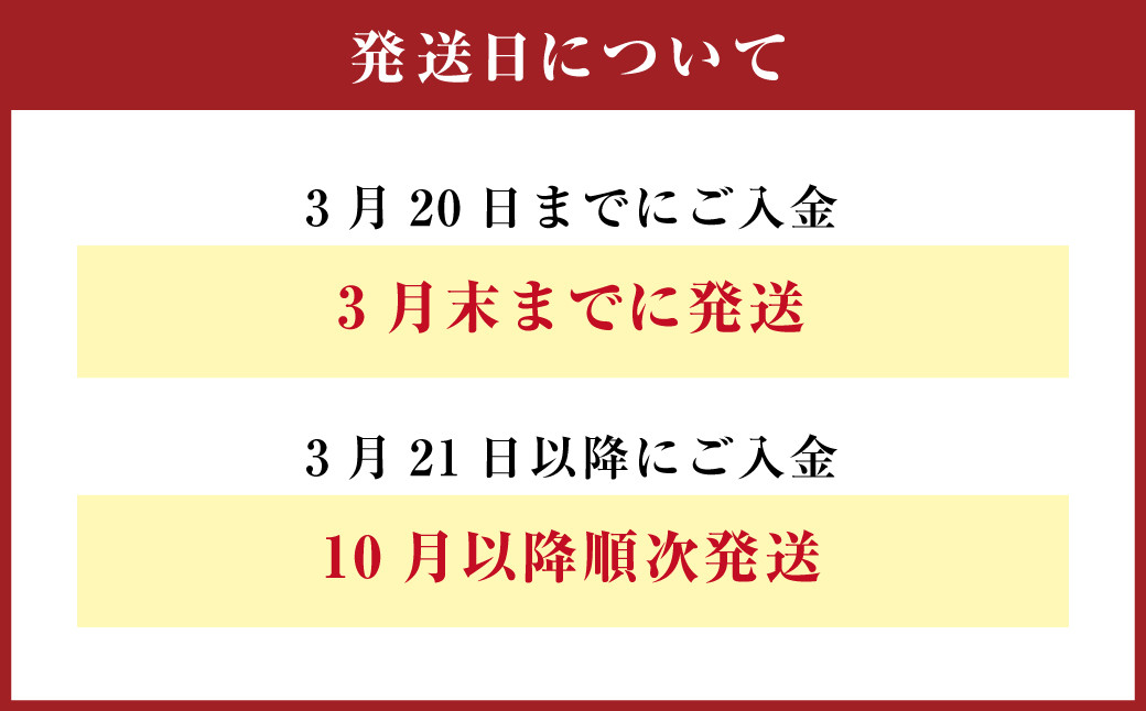 rk-koi産 錦鯉ミックス 10～15cm 10尾 セット