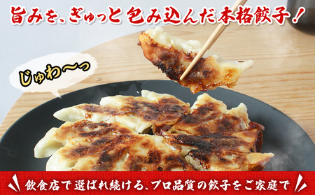 ＜愛媛のおいしい餃子セット サクッとジューシー餃子 125個(25個×5袋)＞ぎょうざ ギョーザ 餃子 国産 ジューシー パリッ 国産野菜 ブランド豚 鍋 浅野食品 愛媛県 西予市【冷凍】『1か月以内