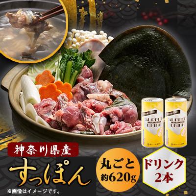 ふるさと納税 山北町 【のし付き】神奈川産すっぽん鍋丸ごと1匹(620g)&amp;ドリンク2本(各180g)セット
