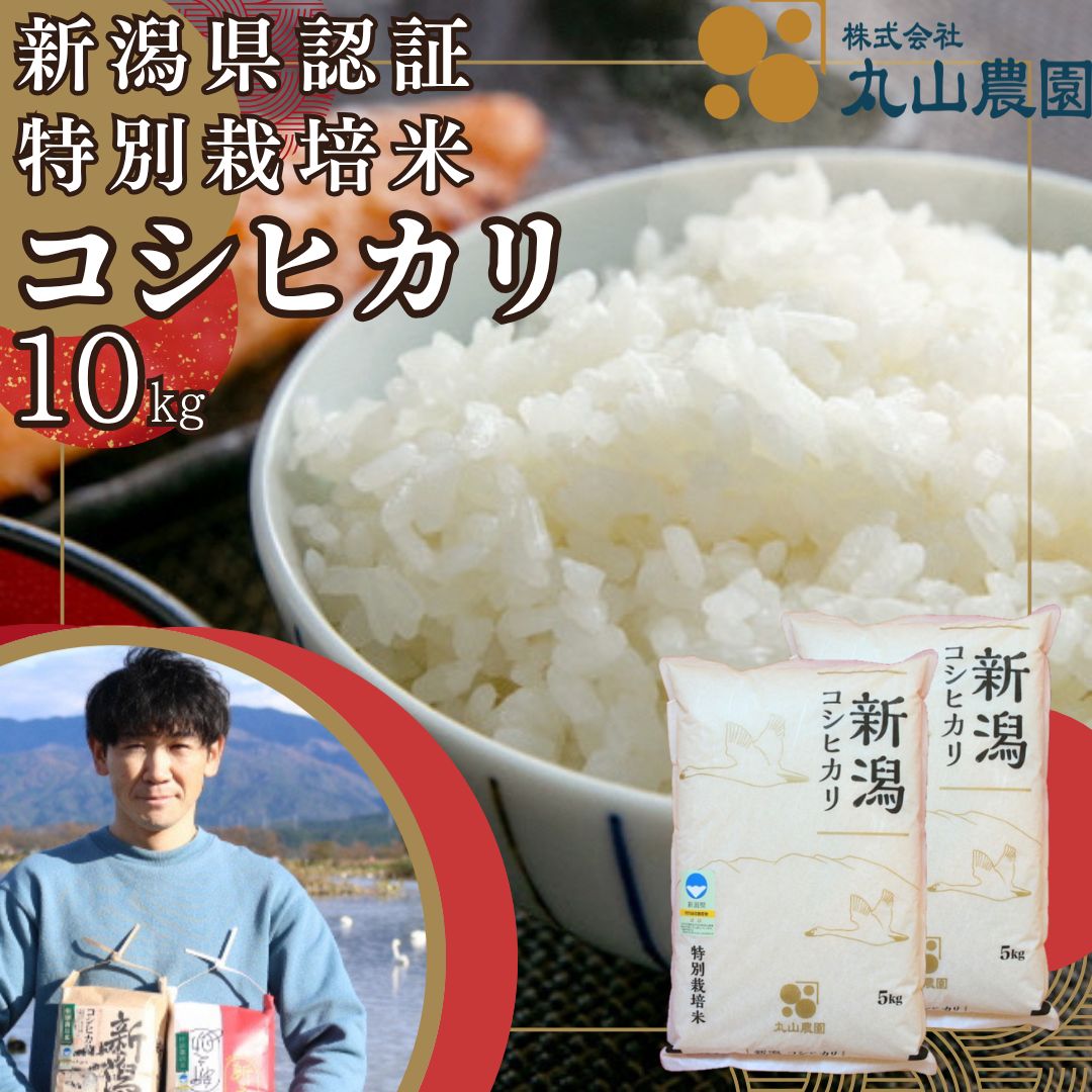 【ふるさと納税】【令和8年産新米予約】従来コシヒカリ 10kg（5kg×2袋） 特別栽培米 新潟県認証米 阿賀野市産 丸山農園 米 こめ コメ 白米 精米 新米 新米予約 令和8年産 10月上旬より順次発送予定