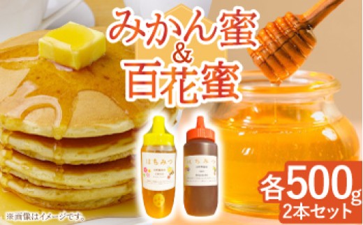 
                  はちみつ 百花蜜500g ＆ みかん蜜500g【小佐々養蜂場】[OCY005] / はちみつ 蜂蜜 国産 長崎県 はちみつ 川棚町産はちみつ 百花蜜 はちみつ スイーツ 甘味料 ハチミツ ハニー 蜂蜜 はちみつ
                