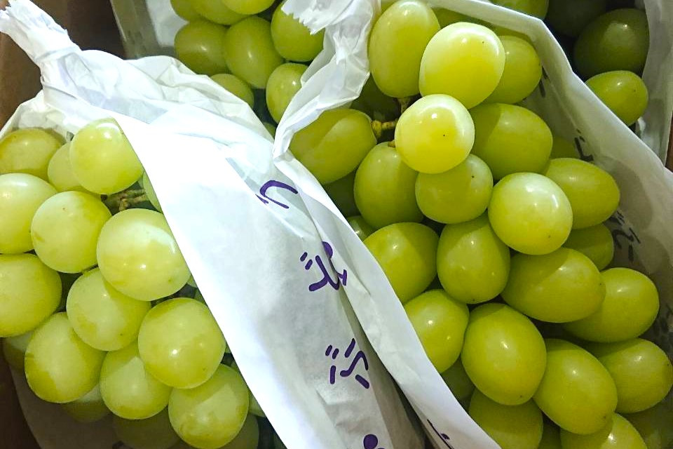
【先行予約】佐賀県産 シャインマスカット約2kg(3～5房)
