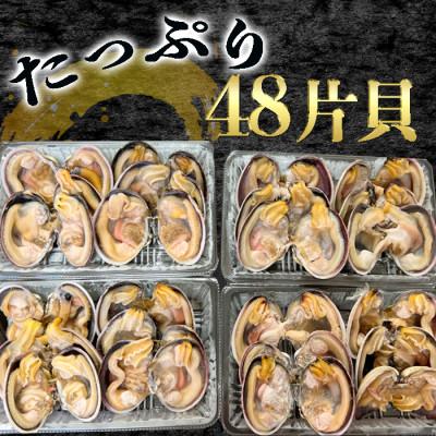 ふるさと納税 南知多町 岬だよりの【天然】大あさり釣り餌用 6個入り×4袋セット |  | 02