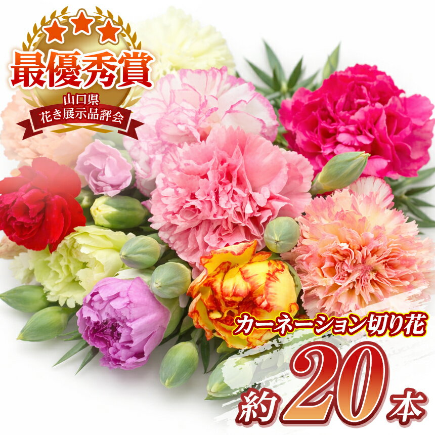 【ふるさと納税】【生産者直送】カーネーション 切り花 ミックス 約 20本 ｜ 生花 花束 フラワーギフト 直送 贈り物 記念日 お祝い 山口県 平生町