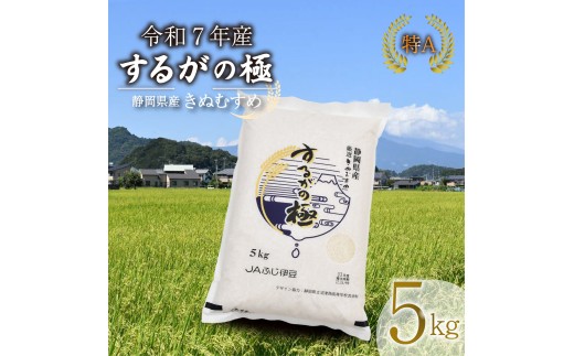 【令和7年産米】 するがの極 5kg 特A 米 こめ お米 白米 精米 ご飯 おにぎり 弁当 JA ブランド米 きぬむすめ 長泉町 静岡 静岡県産