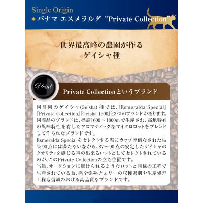 ふるさと納税 藤沢市 パナマ　エスメラルダ農園　プライベートコレクション　ゲイシャ　ナチュラルとウォッシュド飲み比べ(豆) |  | 01