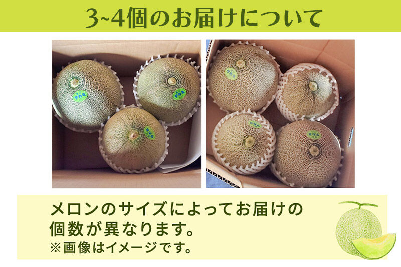 《先行受付》由利本荘産 メロン 3～4個 [メロン フルーツ 果物 スイーツ 先行予約 秋田 由利本荘市産 国産]