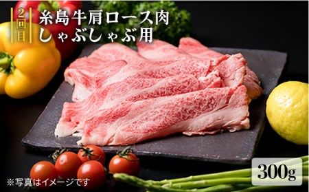 贅沢お肉の定期便全5回（月1回） 3人家族用 (福岡 糸島産 牛肉 豚肉 鶏肉 ステーキ しゃぶしゃぶ すき焼き ヒレ シャトーブリアン ロース)《糸島》【糸島ミートデリ工房】[ACA084] ステー