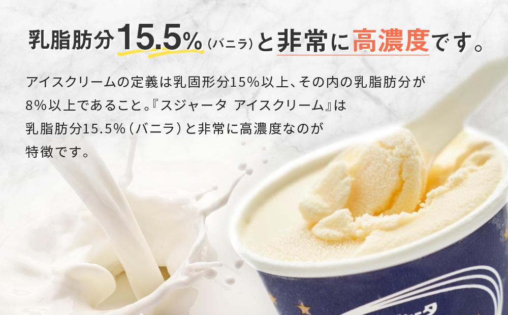シンカンセンスゴイカタイアイス（ベルギーチョコ）11個入り