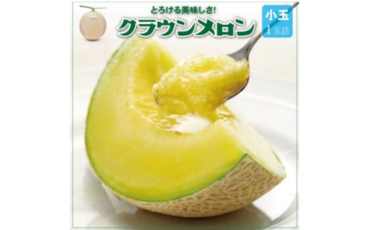 ＜通年出荷＞クラウンメロン(小玉) 1玉【1486509】
