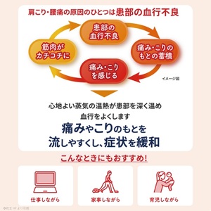 SE0181　めぐりズム 蒸気の温熱シート　下着の内側面に貼るタイプ　5枚入×24箱