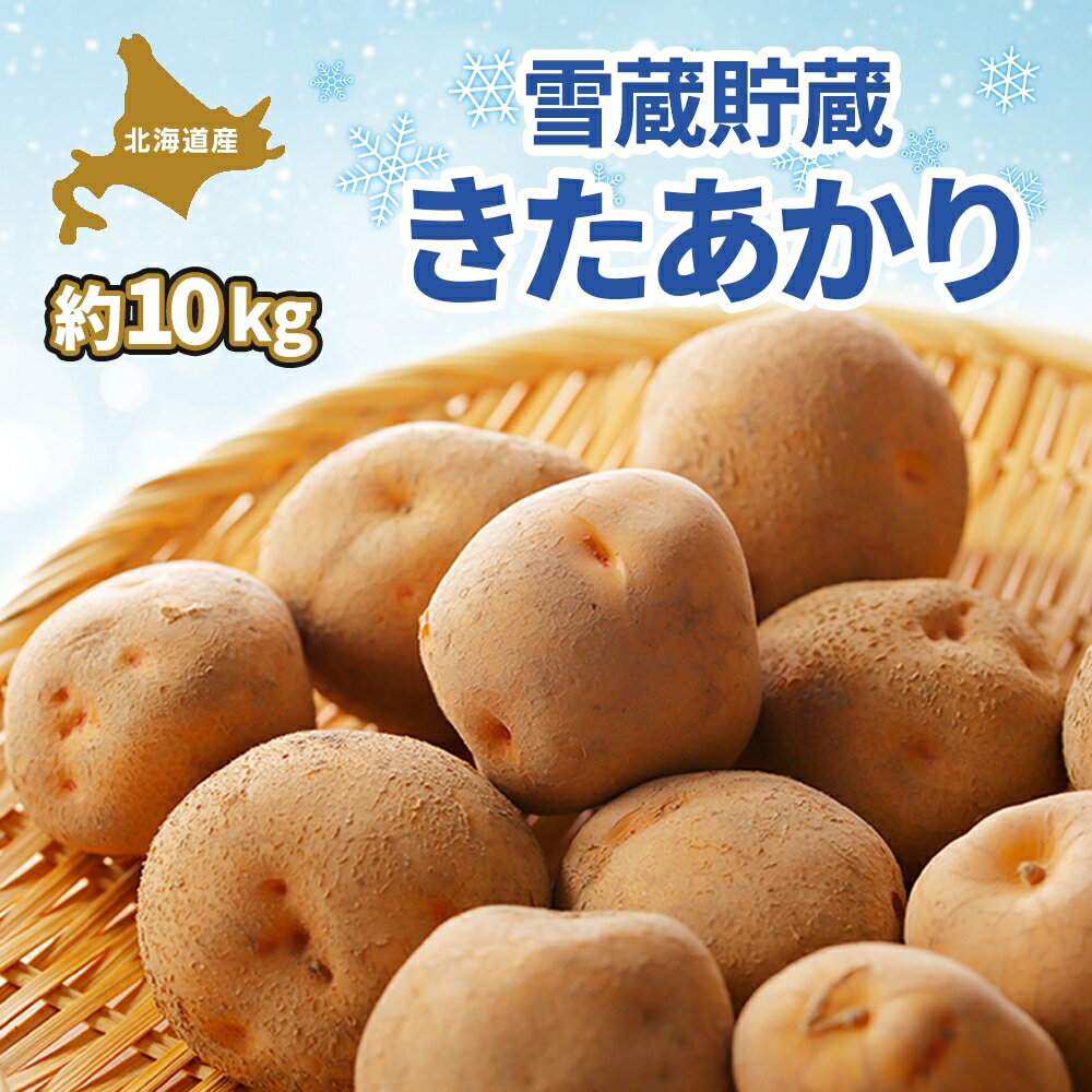 【ふるさと納税】北海道 雪蔵 きたあかり M～LM 約10kg 2025年2月中旬より順次お届け じゃがいも ジャガイモ 馬鈴薯 キタアカリ 北あかり 黄金男爵 芋 いも 雪蔵貯蔵 野菜 農作物 北海道産 丸田農園 送料無料　お届け：2026年2月中旬より順次出荷