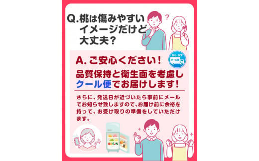 桃もも和歌山県産約4kg《2024年6月中旬-8月中旬頃出荷》---wfn_cwlocal38_q68_23_21000_4kg---紀の里の桃12-15玉入り旬の桃を厳選あかつきお取り寄せ予約｜桃 