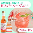 【ふるさと納税】山梨産ぶどう100%の熟成ビネガーで造った!そのまま飲める「ビネガーソーダぶどう12本セット」【1518630】