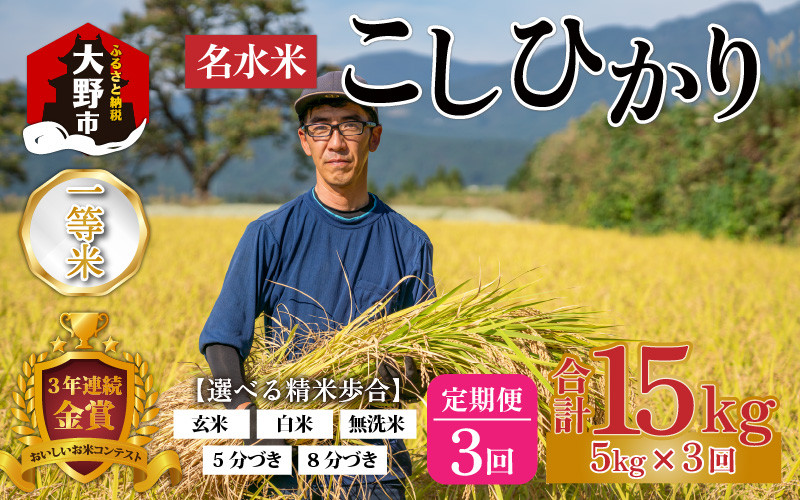 
【令和6年産 新米】【3ヶ月定期便】越前大野産 一等米 帰山農園の棚田育ちコシヒカリ 5kg 【選べる精米方法】
