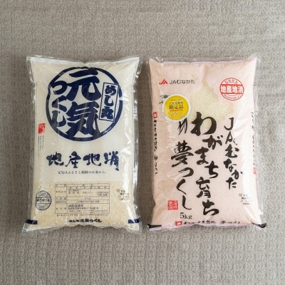 果物屋さんが選んだ米食べ比べ「夢つくし＆元気つくし」5kg×2袋(志免町)