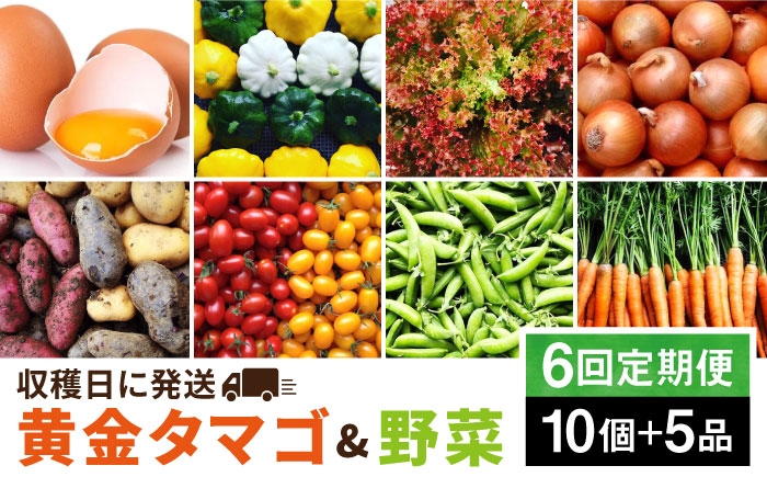 
                  【全6回定期便】糸島の朝産み黄金タマゴ10個 朝どれ新鮮野菜5品 セット【福岡県糸島産】 糸島市 / オーガニックナガミツファーム 玉子 やさい 	[AGE048]
                