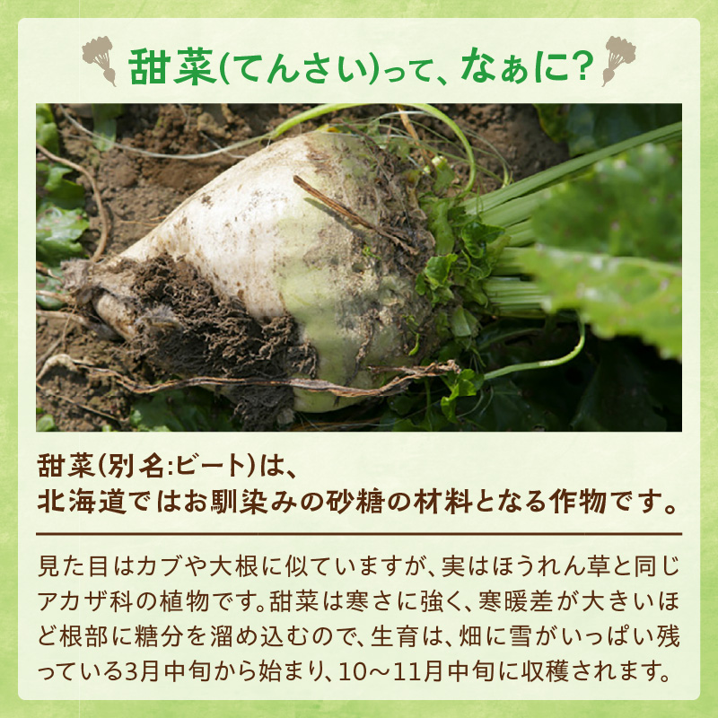 【3回定期便】 ホクレン の てんさい糖 650g × 12袋 【 定期便 てん菜  北海道産 砂糖 お菓子 料理 調味料 ビート お取り寄せ 北海道 清水町  】