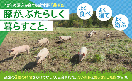 放牧豚 遊ぶた 1.2kg 角切り カレー・シチュー用 豚肉