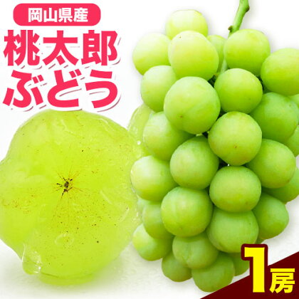 岡山県産桃太郎ぶどう（1房680g以上）1房入り　令和8年産先行受付《2026年9月上旬‐10月下旬頃出荷》【配送不可地域あり】---H-26b---