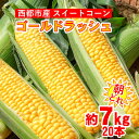 【ふるさと納税】朝どれ スイートコーン 約7kg ゴールドラッシュ（約20本）西都市【先行予約】宮崎県 さいと サイトY