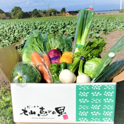 ふるさと納税 日吉津村 新鮮朝採れ野菜セット |  | 01