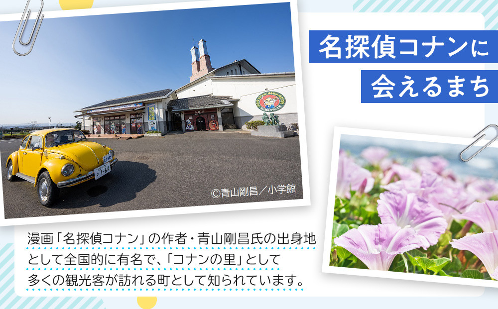タカミメロン　2玉（2.5kg前後）　1箱　【※2026年7月上旬～中旬配送】