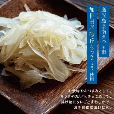 ふるさと納税 南さつま市 【鹿児島県産】スライス白宝らっきょう 8袋 |  | 01