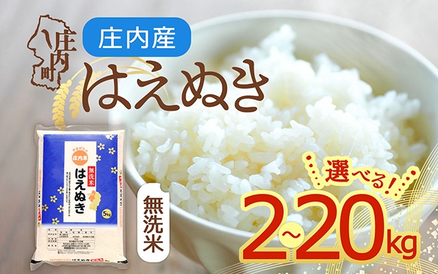 
                  【令和7年産】はえぬき 無洗米 2kg～20kg 山形県庄内町産 余目産 庄内米 ブランド米 米 コシヒカリの原点、亀の尾発祥の地 甘み 粘り バランスの良い ごはん お弁当 家庭用
                