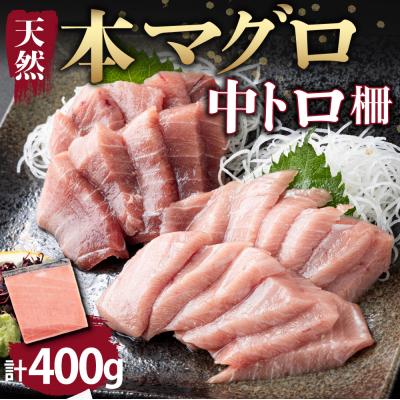 ふるさと納税 室戸市 【厳選天然本まぐろ】中トロ  400g