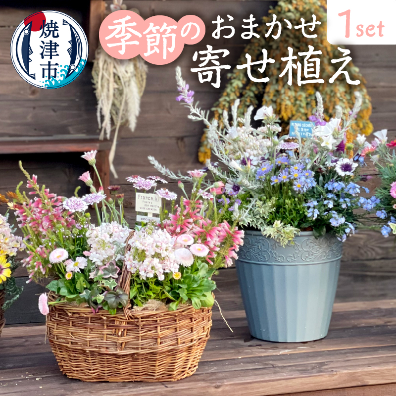 a21-055　季節のおまかせ寄せ植え