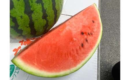 熊本県産スイカ ラオウザスイート＆金色羅皇 2玉 果物 フルーツ 西瓜 すいか スイカ 大玉 大玉スイカ 大玉すいか 常温 熊本県産 【2026年5月上旬発送開始】