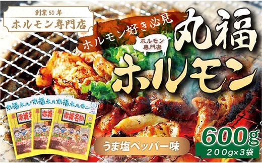 【定期便・全6回】 焼くだけ簡単「丸福ホルモン (うま塩ペッパー味)」定期便 合計3.6kg（600g×6回）｜豚ホルモン 豚⾁ 焼⾁ BBQ ガツナンコツ レバー ⽩モツ ⼤トロ ちょい飲み 味付き 冷凍便 F4H-0501