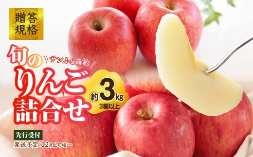 
            015-052 《先行受付》贈答規格 旬のりんご詰合せ約3kg（サンふじ確約3種以上）特秀～秀 大江町産【2026年12月上旬頃～発送予定】【大江町産・山形りんご・りんご専科 清野】 【015-052】
          