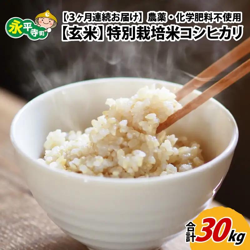 【3ヶ月定期便】【玄米】 令和8年度産　新米 永平寺町産 農薬不使用・化学肥料不使用 特別栽培米 コシヒカリ 10kg×3ヶ月 計30kg 10月上旬より順次発送 １０キロ 10kg 米  米 お米 コメ 送料無料 こしひかり 福井 [H-033070]