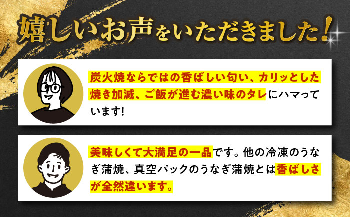 【12回定期便】 手焼き 炭火焼き うなぎ 蒲焼 (2尾・タレ付き) 【中野鮮魚店】[NAI009] うなぎ ウナギ 鰻 国産 炭火焼 蒲焼き