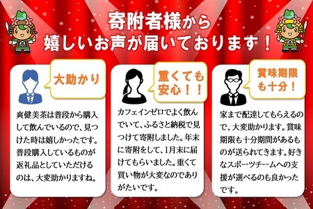 爽健美茶 2L×6本(1ケース)【コカコーラ カフェインゼロ 香ばしい おいしい ブレンド茶 お茶 国産 ハトムギ 玄米 大麦 ドクダミ ハブ茶 チコリー 麦芽 植物素材 飲料 お徳用 ペットボトル】