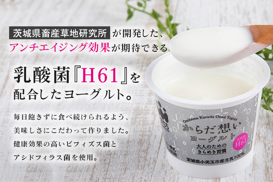 【定期便4回】 H61乳酸菌『からだ想いヨーグルト』20個×4回 ヨーグルト 低糖・低カロリー H61乳酸菌 アンチエイジング 健康 老化抑制 腸内改善 美容 美肌 美肌菌 敏感肌 乾燥肌 敬老の日 